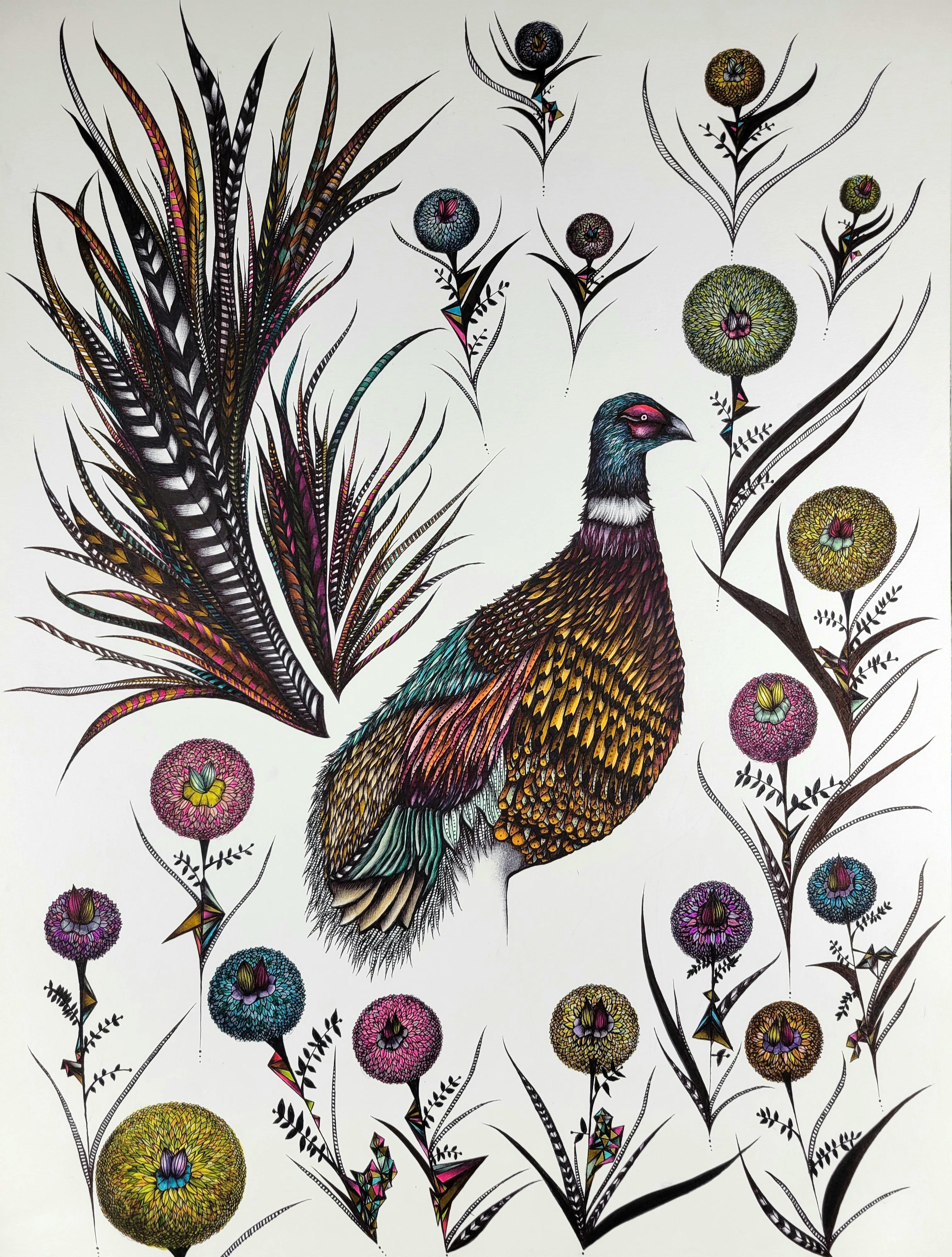 Pheasant