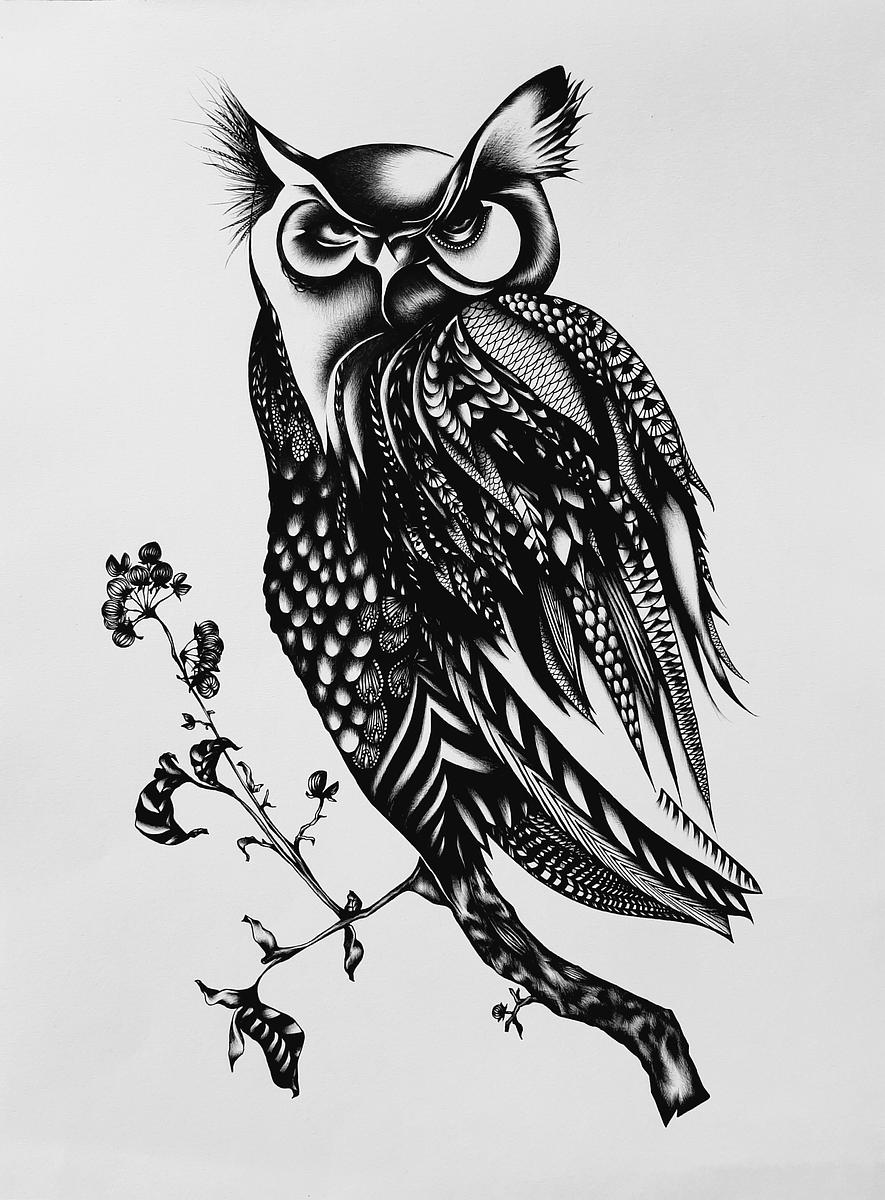 Owl #1