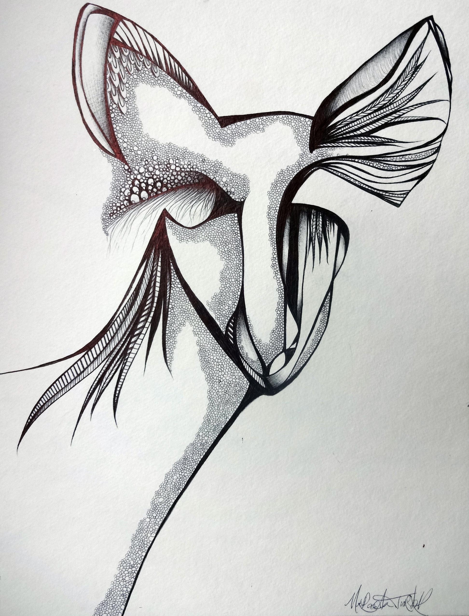 black and white drawing, wildlife art, deer art